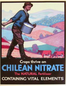 Affiche de publicité pour le nitrate chilien en Grande-Bretagne (memoriachilena.cl)