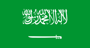 Le drapeau est sur fond vert qui représente la couleur de l'Islam. Il comporte une inscription qui est la chahada (la profession de foi musulmane) et un sabre blanc faisant écho à la conquête du pays par Ibn Saoud.