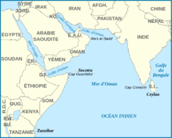 Sur la carte du Moyen-Orient, nous voyons qu'Oman se trouve à un endroit stratégique : le sultanat contrôle les entrées et sorties du détroit d'Ormuz.