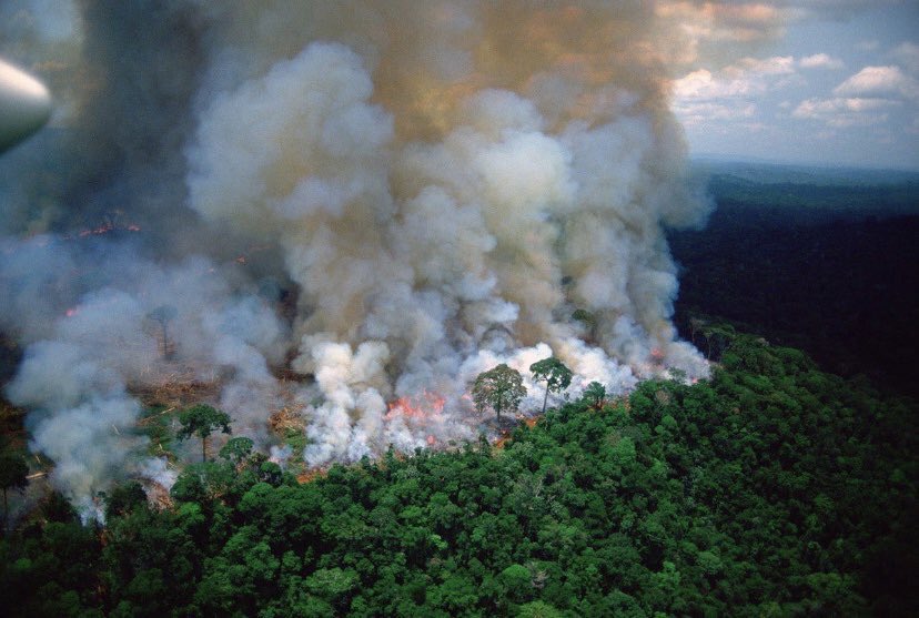 Jair Bolsonaro portera t-il un coup fatal à 30 ans de politiques de lutte contre la déforestation. coup fatal à 30 ans de politiques