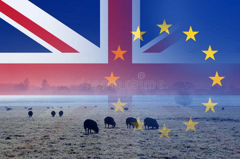 Le Brexit aura des impacts sur l'agriculture et l'alimentation britanniques