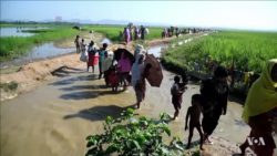 réfugiés rohingyas crise bangladesh birmanie