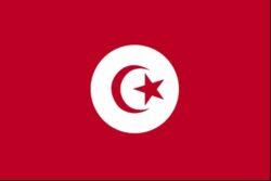 Afrique Tunisie référendum