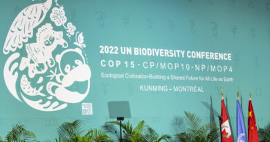 Prise de conscience : la biodiversité sur le devant de la scène internationale (2/2)