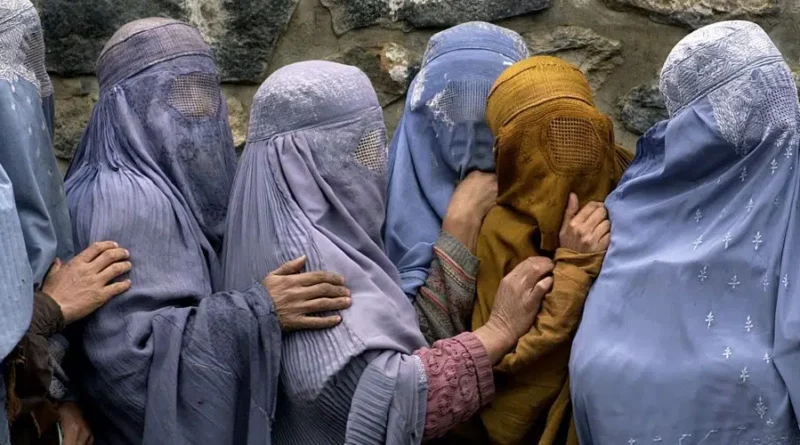 Cette image met en avant une des nombreuses interdictions imposées par les Taliban aux femmes et filles afghanes. En effet il s’agit ici de l’interdiction de leur droit à l'enseignement secondaire et supérieur et le droit au travail. L’image montre le phénomène où des dizaines de milliers d'écolières ont été exclues des écoles secondaires afghanes, et de nombreuses femmes fonctionnaires n'ont pas été autorisées à travailler.