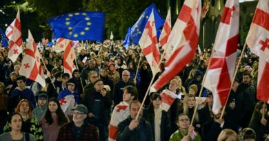 De nombreuses manifestations pro-UE ont eu lieu récemment en Géorgie.