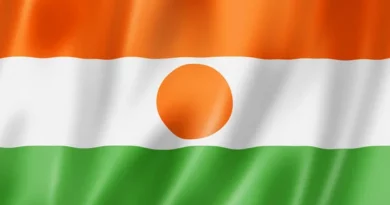 Drapeau du Niger.