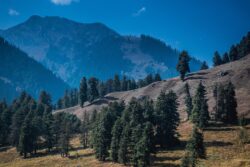 Pahalgam est la ville où l'attentat du 22 avril a eu lieu.