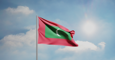 Cactus et coup d’État : l’Inde aux Maldives (1988) Drapeau des Maldives, pays dans lequel a éclaté le coup d'État de 1988