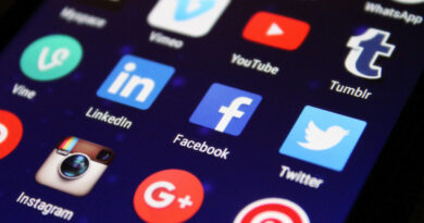 Majorités numériques et réseaux sociaux; le tournant international